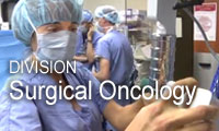 Division of Surgical Oncology, Department of Surgery, Emory University School of Medicine