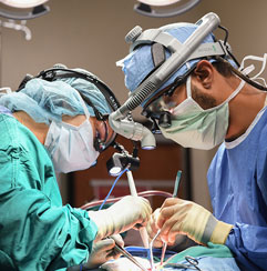 oral and maxillofacial surgical team