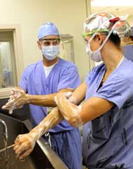 surgery plastic residency emory scrubbing certification programs american board
