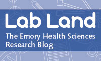 Elory Lab Land Blog