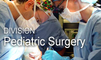 Division of Pediatric Surgery, Department of Surgery, Emory University School of Medicine