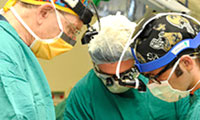 Image for
Division of Oral and Maxillofacial Surgery